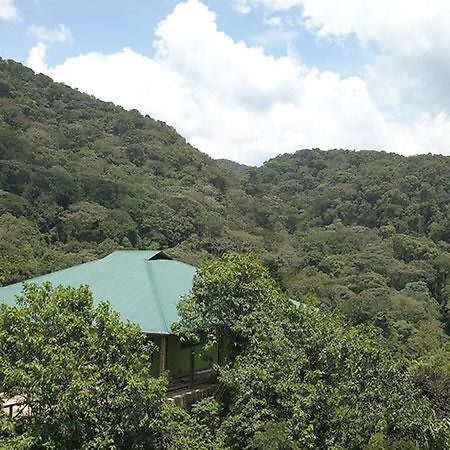 Gorilla Hills Eco-Lodge Kisoro Bagian luar foto