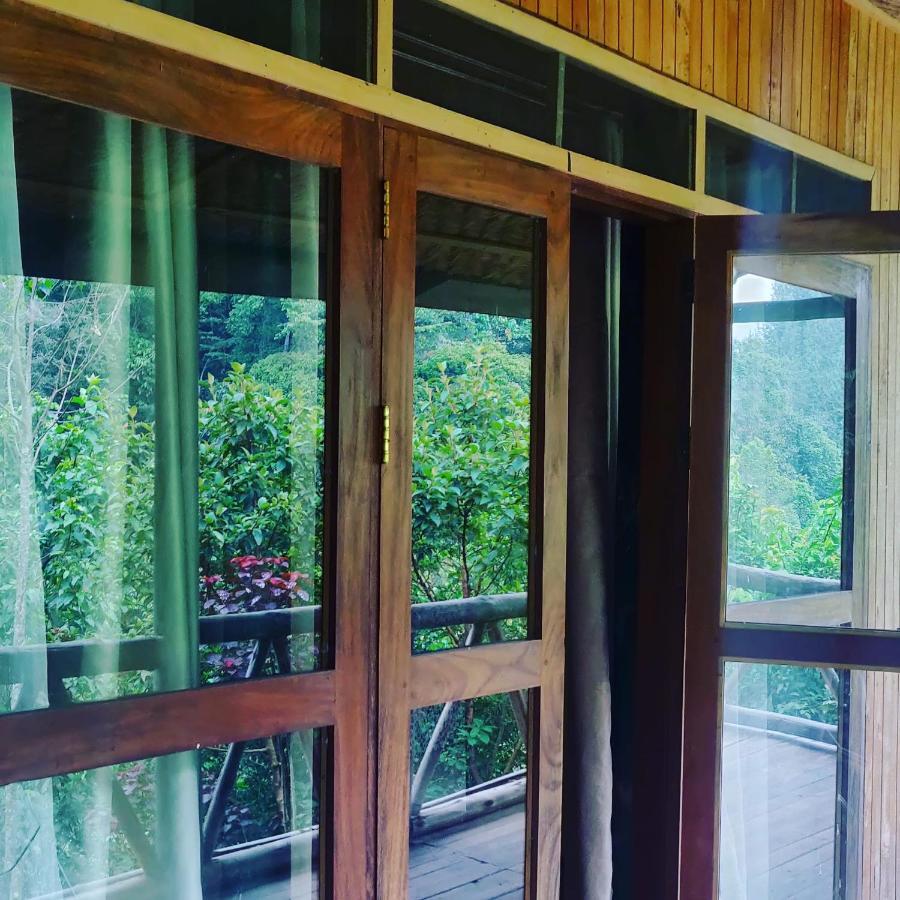 Gorilla Hills Eco-Lodge Kisoro Bagian luar foto