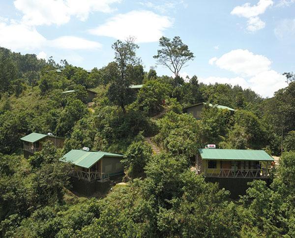 Gorilla Hills Eco-Lodge Kisoro Bagian luar foto