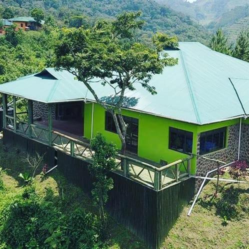 Gorilla Hills Eco-Lodge Kisoro Bagian luar foto