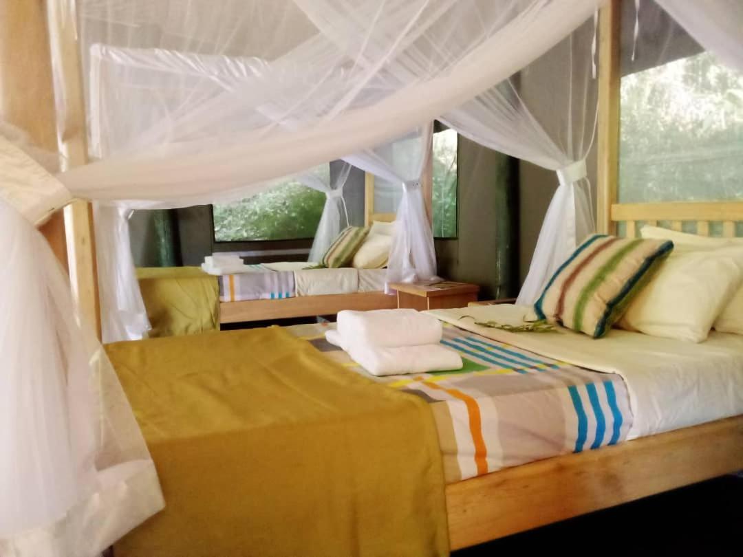 Gorilla Hills Eco-Lodge Kisoro Bagian luar foto