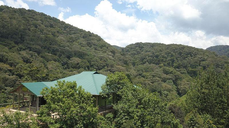 Gorilla Hills Eco-Lodge Kisoro Bagian luar foto