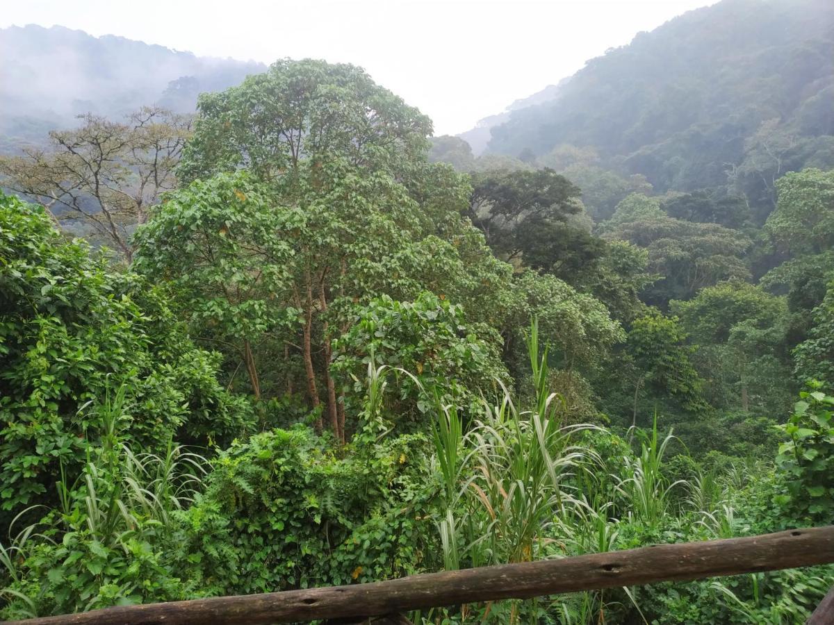 Gorilla Hills Eco-Lodge Kisoro Bagian luar foto