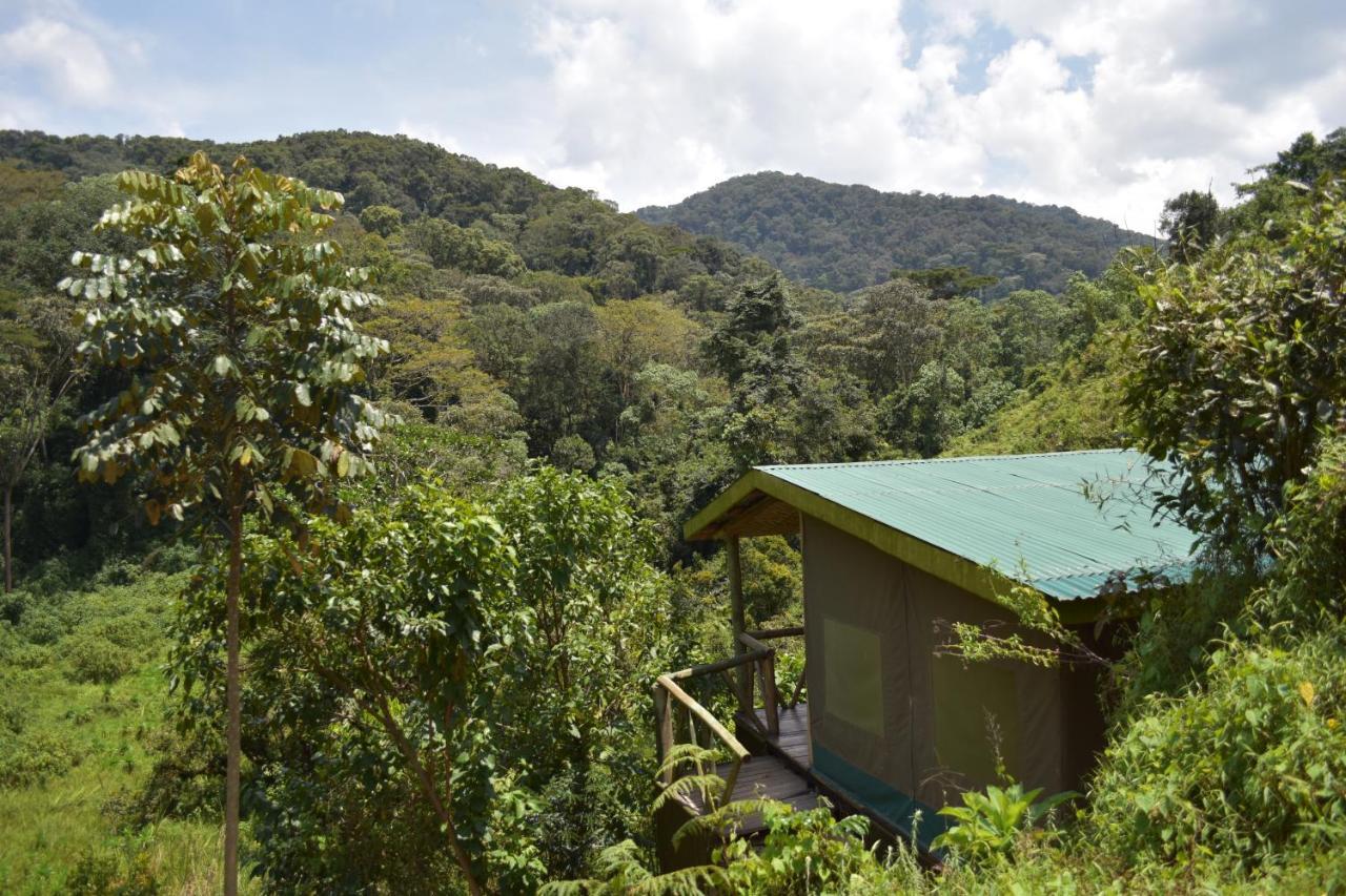Gorilla Hills Eco-Lodge Kisoro Bagian luar foto