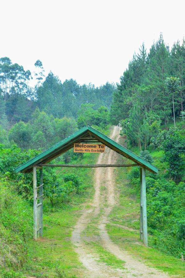 Gorilla Hills Eco-Lodge Kisoro Bagian luar foto